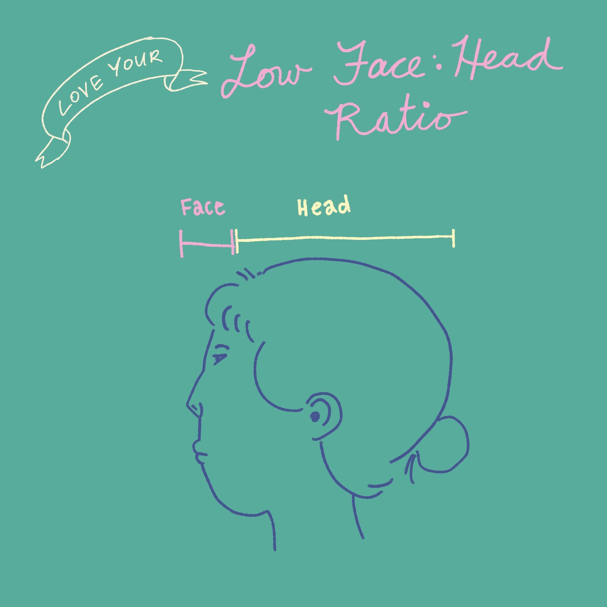 Love Your Low Face: Head Ratio. Showing a face in profile with proportions marked