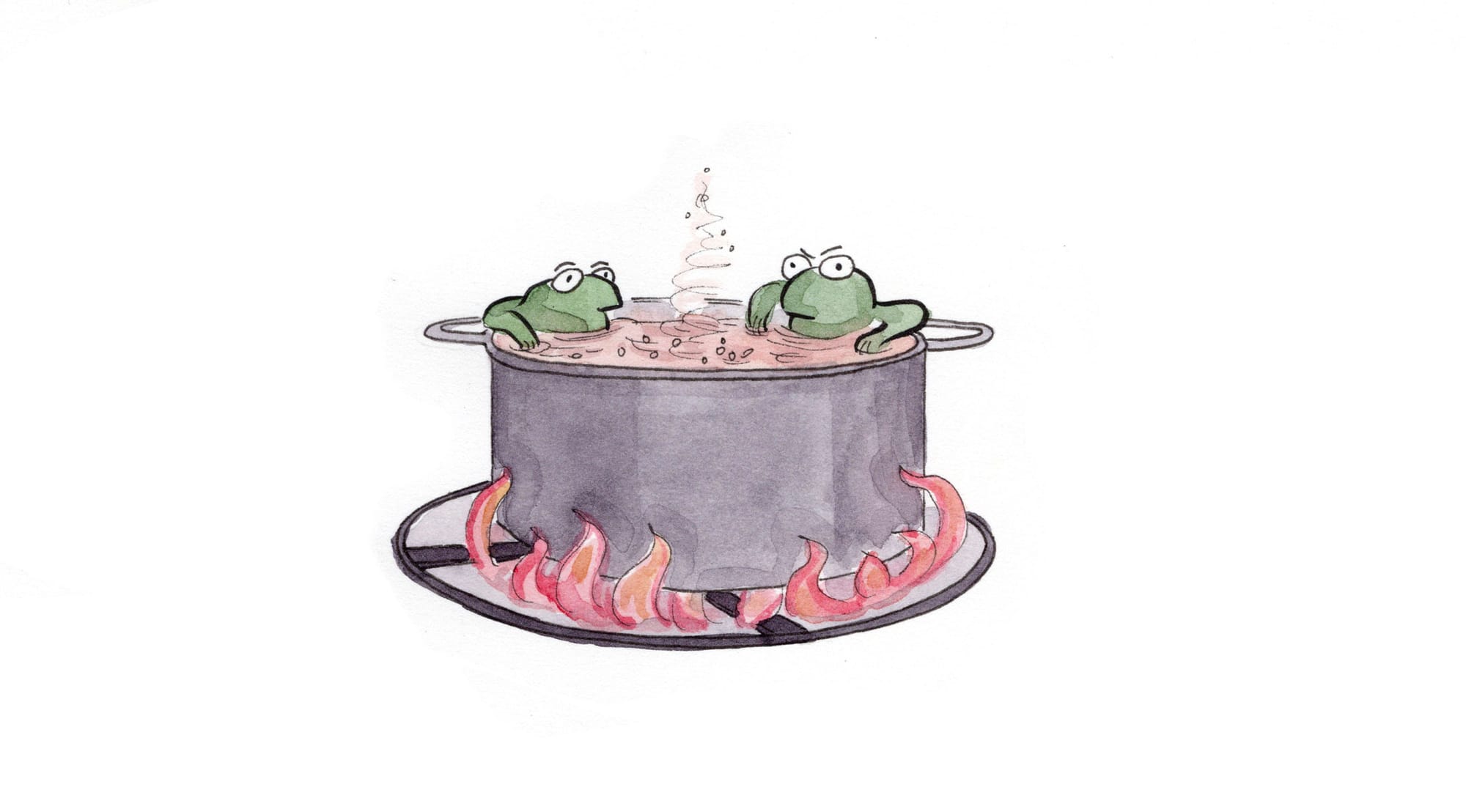 Annoyed looking frogs in a pot on the stove, and no wonder, as steam is beginning to rise