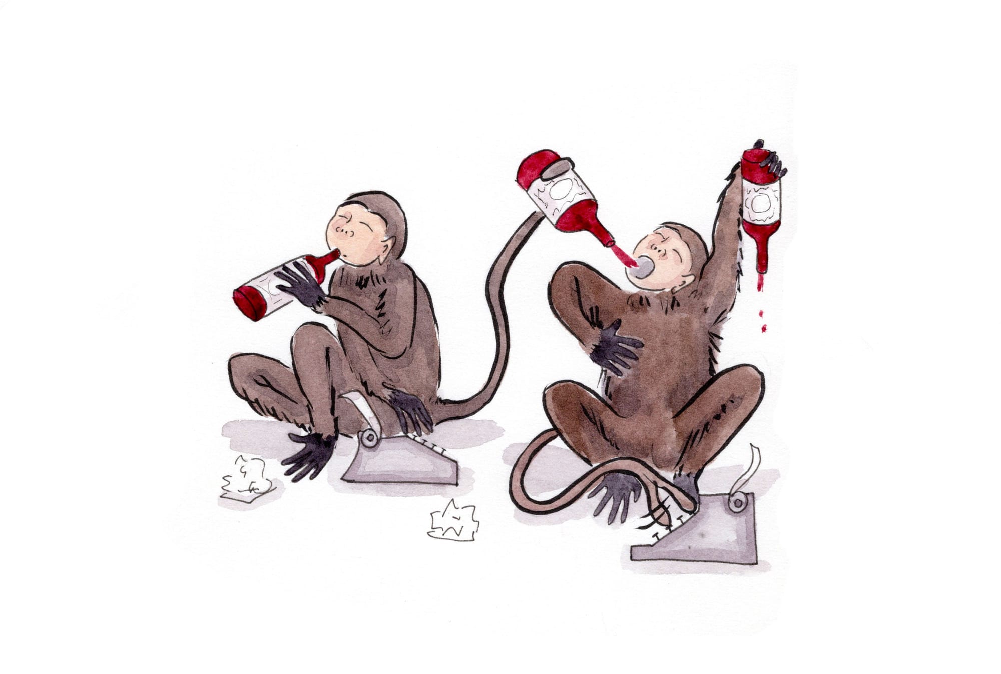 Monkeys with typewriters, drinking a lot of red wine