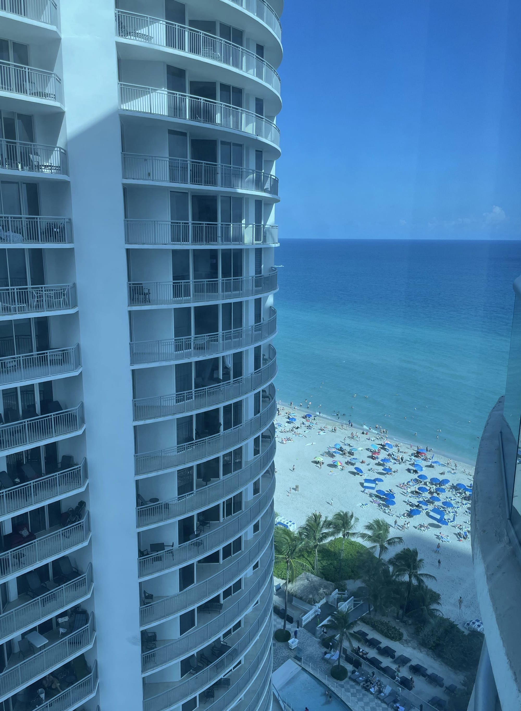 A filmy blue scene of Miami Beach, showing the upper floors of a high-rise beachfront hotel against the impossibly sapphire sea, with palm trees, tiny umbrellas, and a sprinkling of swimmers