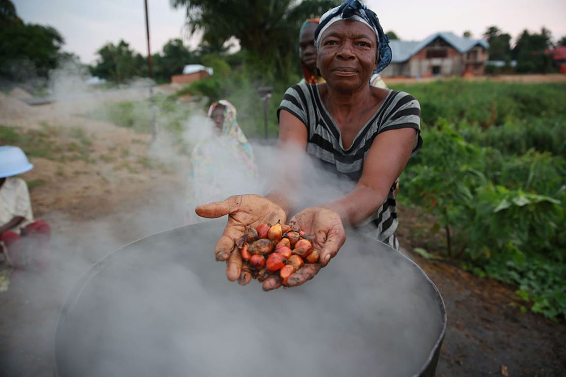 This woman in the Democratic Republic of the Congo is showing in her hands the red and yellow palm fruit above a steaming pot for processing the fruit.