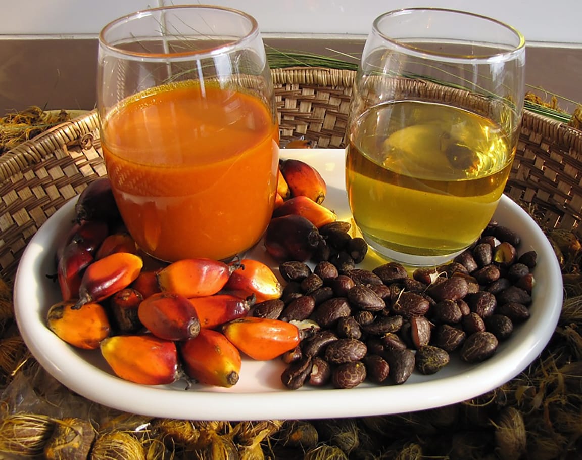 Left-hand glass with red fruits in front looks like tomato juice and the other glass with dark brown fruit looks like olive oil