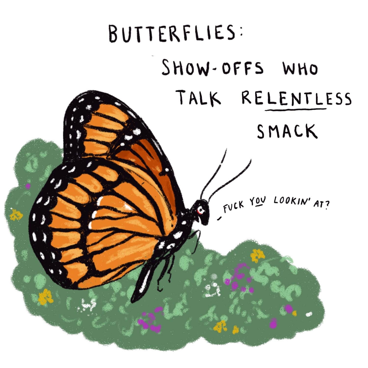 Drawing of a butterfly, monarch-like on green and purple plant of indeterminate type, captioned “Butterflies: show=off’s who talk relentless smack.” The butterfly is sayin “Fuck YOU look’ at?”