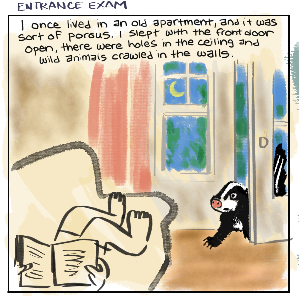 ENTRANCE EXAM: I once lived in an old apartment, and it was sort of porous. I slept with the front door open, there were holes in the ceiling and wild animals crawled in the walls. (A skunk pictured walking in on the author who is sprawled on the couch reading)