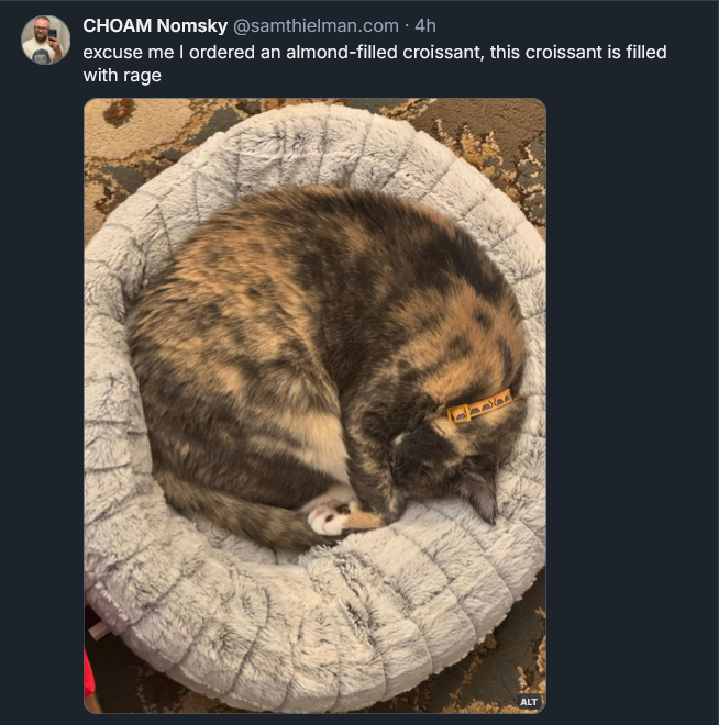 Bluesky post from Sam Thielman: excuse me I ordered an almond-filled croissant, this croissant is filled with rage [IMAGE: a pillowy beige pet bed with a tortoiseshell cat curled up inside]