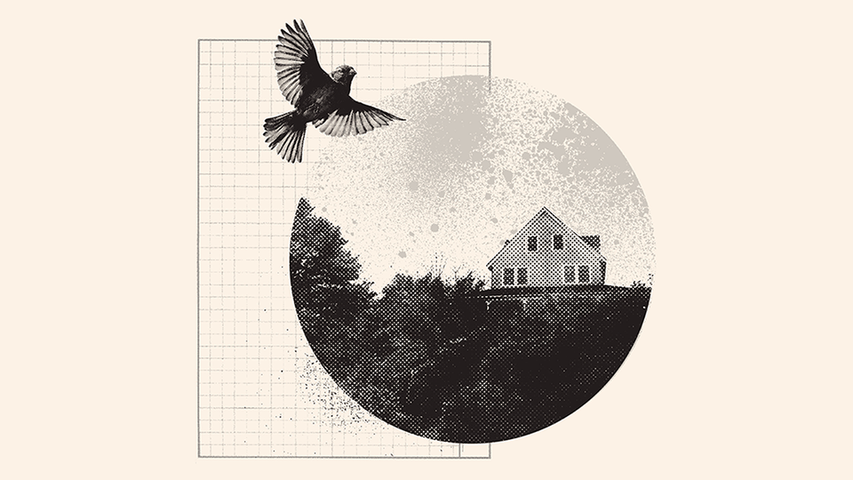 Illustration of a bird juxtaposed/collaged with an image of a wooden house behind shrubs and trees