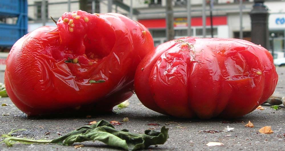 Two rotten, leaking bright red tomatoes on a pavement outdoors