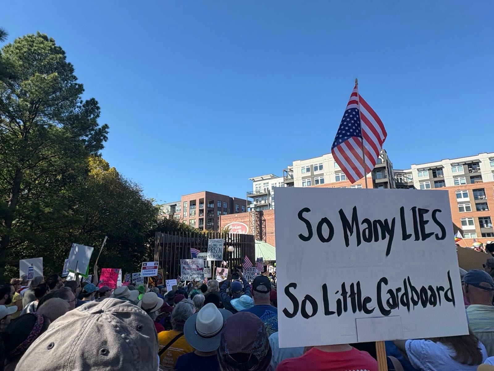 Huge crowd, one sign in focus: So many LIES / So Little Cardboard