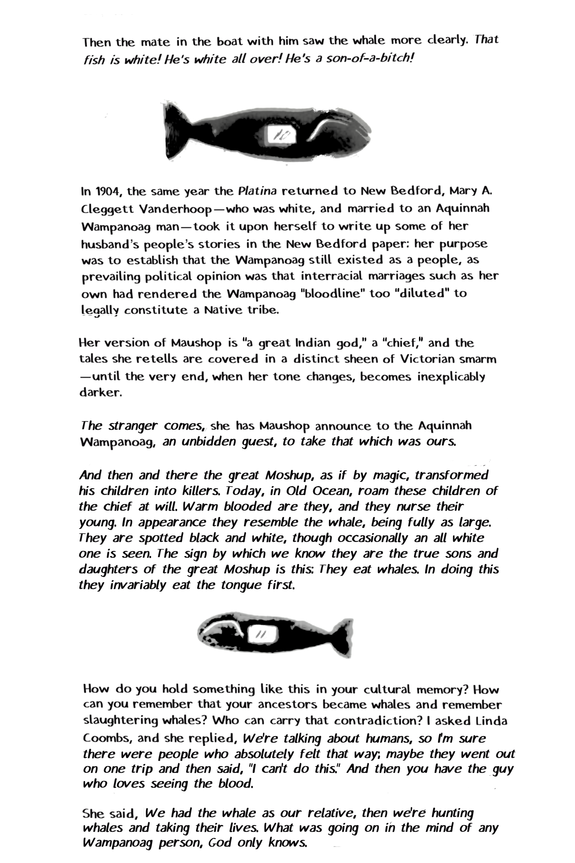 Then the mate in the boat with him saw the whale more clearly. That fish is white! He's white all over! He's a son-of-a-bitch! In 1904, the same year the Platina returned to New Bedford, Mary A. Cleggett Vanderhoop-who was white, and married to an Aquinnah Wampanoag man-took it upon herself to write up some of her husband's people's stories in the New Bedford paper: her purpose was to establish that the Wampanoag still existed as a people, as prevailing political opinion was that interracial marriages such as her own had rendered the Wampanoag "bloodline" too "diluted" to legally constitute a Native tribe. Her version of Maushop is "a great Indian god," a "chief," and the tales she retells are covered in a distinct sheen of Victorian smarm -until the very end, when her tone changes, becomes inexplicably darker. The stranger comes, she has Maushop announce to the Aquinnah Wampanoag, an unbidden guest, to take that which was ours. And then and there the great Moshup, as if by magic, transformed his children into killers. Today, in Old Ocean, roam these children of the chief at will. Warm blooded are they, and they nurse their young. In appearance they resemble the whale, being fully as large. They are spotted black and white, though occasionally an all white one is seen. The sign by which we know they are the true sons and daughters of the great Moshup is this: They eat whales, In doing this they invariably eat the tongue first. How do you hold something like this in your cultural memory? How can you remember that your ancestors became whales and remember slaughtering whales? Who can carry that contradiction? | asked Linda Coombs, and she replied, We're talking about humans, so i'm sure there were people who absolutely felt that way; maybe they went out on one trip and then said, "I can't do this." And then you have the guy who loves seeing the blood.  She said, We had the whale as our relative, then we're hunting whales and taking their lives. What was going on in the mind of any Wampanoag person, God only knows.