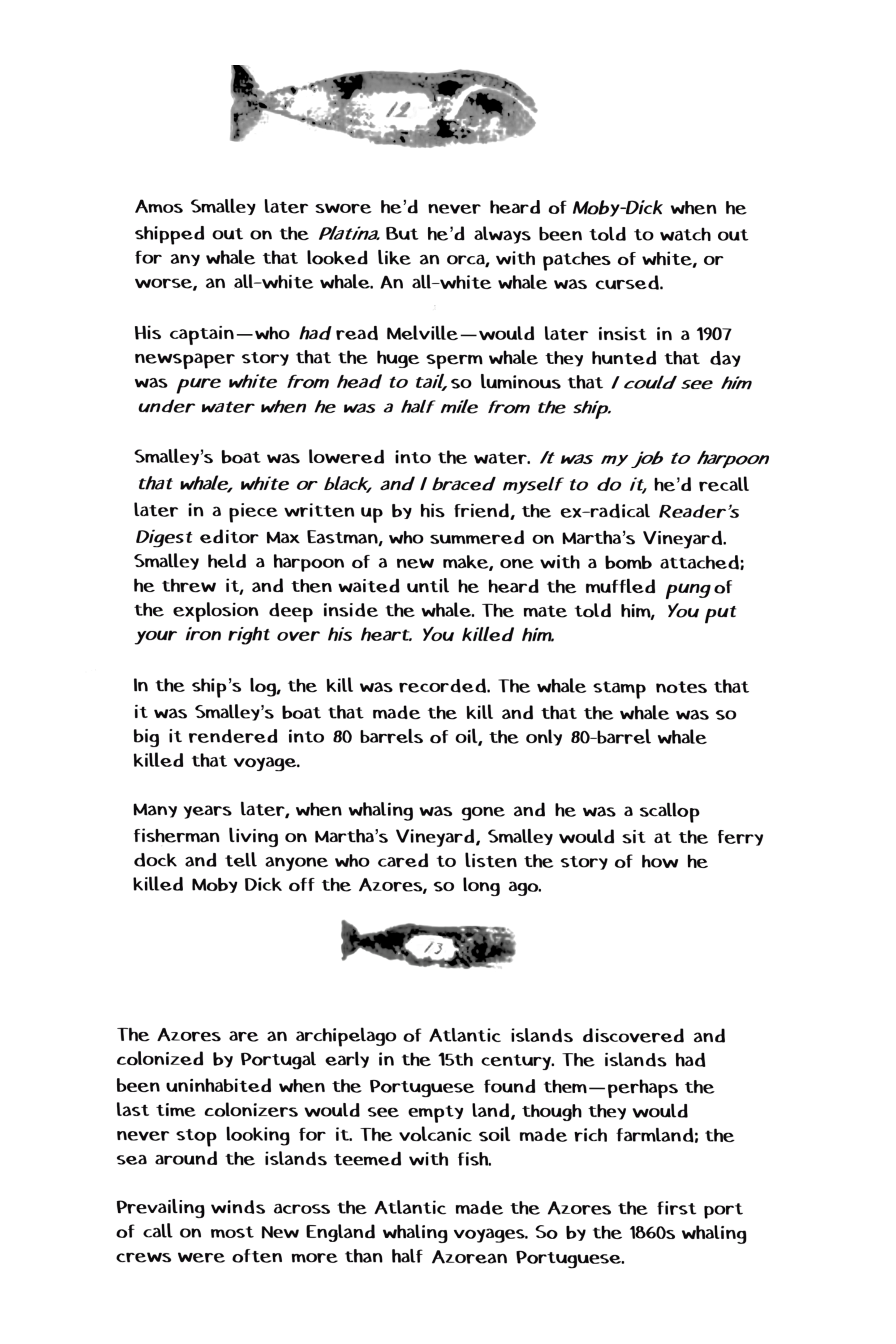 Amos Smalley later swore he'd never heard of Moby-Dick when he shipped out on the Platina. But he'd always been told to watch out for any whale that looked like an orca, with patches of white, or worse, an all-white whale. An all-white whale was cursed. His captain -who had read Melville -would later insist in a 1907 newspaper story that the huge sperm whale they hunted that day was pure white from head to tail, so luminous that I could see him under water when he was a half mile from the ship. Smalley's boat was lowered into the water. It was my job to harpoon that whale, white or black, and I braced myself to do it, he'd recall later in a piece written up by his friend, the ex-radical Reader's Digest editor Max Eastman, who summered on Martha's Vineyard. Smalley held a harpoon of a new make, one with a bomb attached; he threw it, and then waited until he heard the muffled pung of the explosion deep inside the whale. The mate told him, You put your iron right over his heart. You killed him. In the ship's log, the kill was recorded. The whale stamp notes that it was Smalley's boat that made the kill and that the whale was so big it rendered into 80 barrels of oil, the only 80-barrel whale killed that voyage. Many years later, when whaling was gone and he was a scallop fisherman living on Martha's Vineyard, Smalley would sit at the ferry dock and tell anyone who cared to listen the story of how he killed Moby Dick off the Azores, so long ago. The Azores are an archipelago of Atlantic islands discovered and colonized by Portugal early in the 15th century. The islands had been uninhabited when the Portuguese found them-perhaps the last time colonizers would see empty land, though they would never stop looking for it. The volcanic soil made rich farmland; the sea around the islands teemed with fish.  Prevailing winds across the Atlantic made the Azores the first port of call on most New England whaling voyages. So by the 1860s whaling crews were often more than half Azorean Portuguese.
