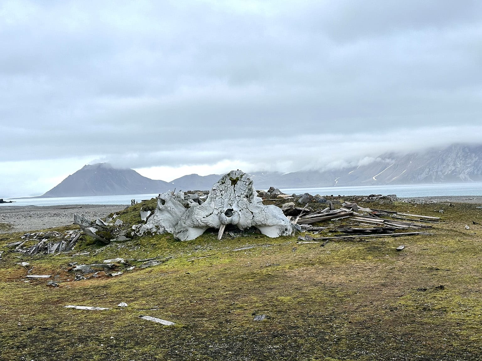 A fantasyland of water, mist, very old whale bones and cold mountain air