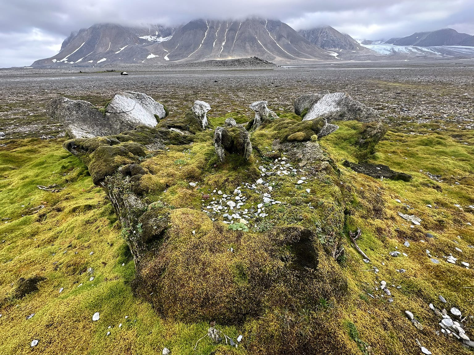 Ever more gorgeously cold mountain landscapes nourished by whale bones