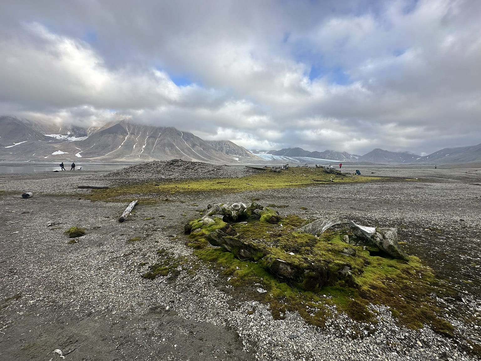 Patches of moss in a frozen landscape in the High Arctic, with mountains and tiny figures visible in the distance)