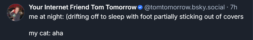 Bluesky post by Tom Tomorrow: me at night (drivting off to sleep with foot partially sticking out of covers) my cat: aha