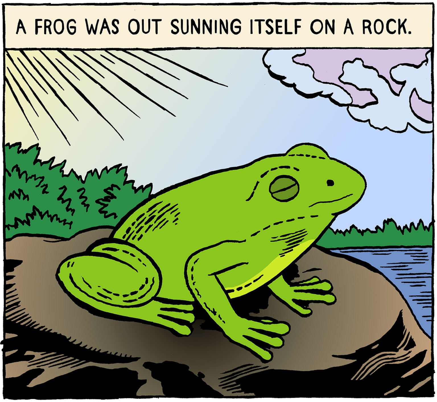 A FROG WAS OUT SUNNING ITSELF ON A ROCK.