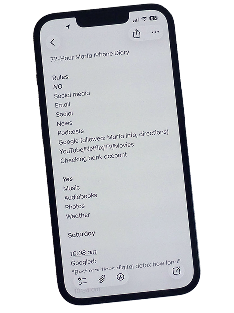 Phone showing diary (text below)