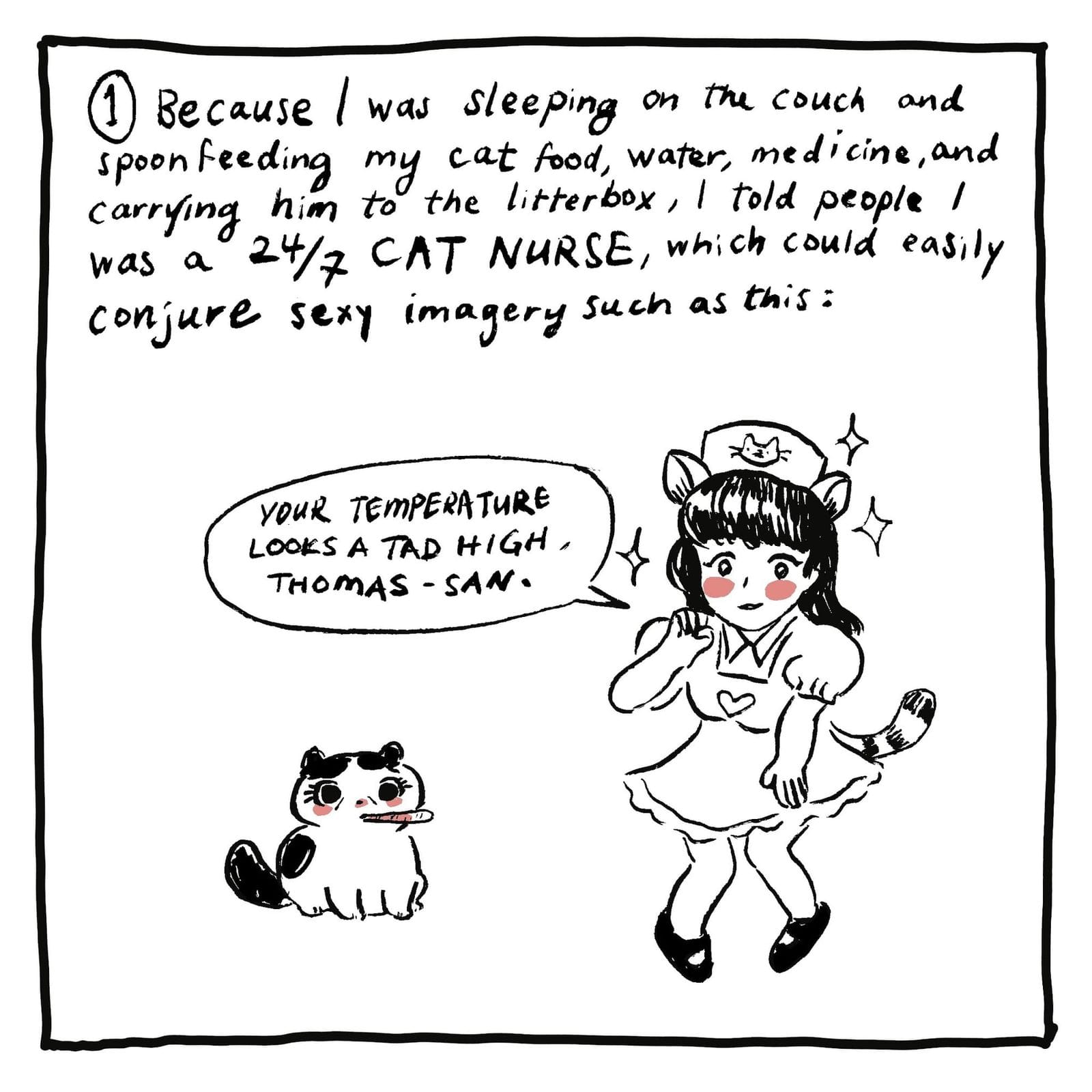1. Because I was sleeping on the couch and spoonfeeding my cat food, water, medicine, and carrying him to the litterbox, I told people I was a 24/7 CAT NURSE, which would easily conjure sexy imagery such as this: [IMAGE of blushing loli girl in nurse’s outfit with puffed sleeves, a tail, and kittycat ears; on her nurse’s hat is the image of a cat. She is addressing a small black and white cat with a thermometer in his mouth, he is also blushing. She says, YOUR TEMPERATURE LOOKS A TAD HIGH, THOMAS-SAN.]