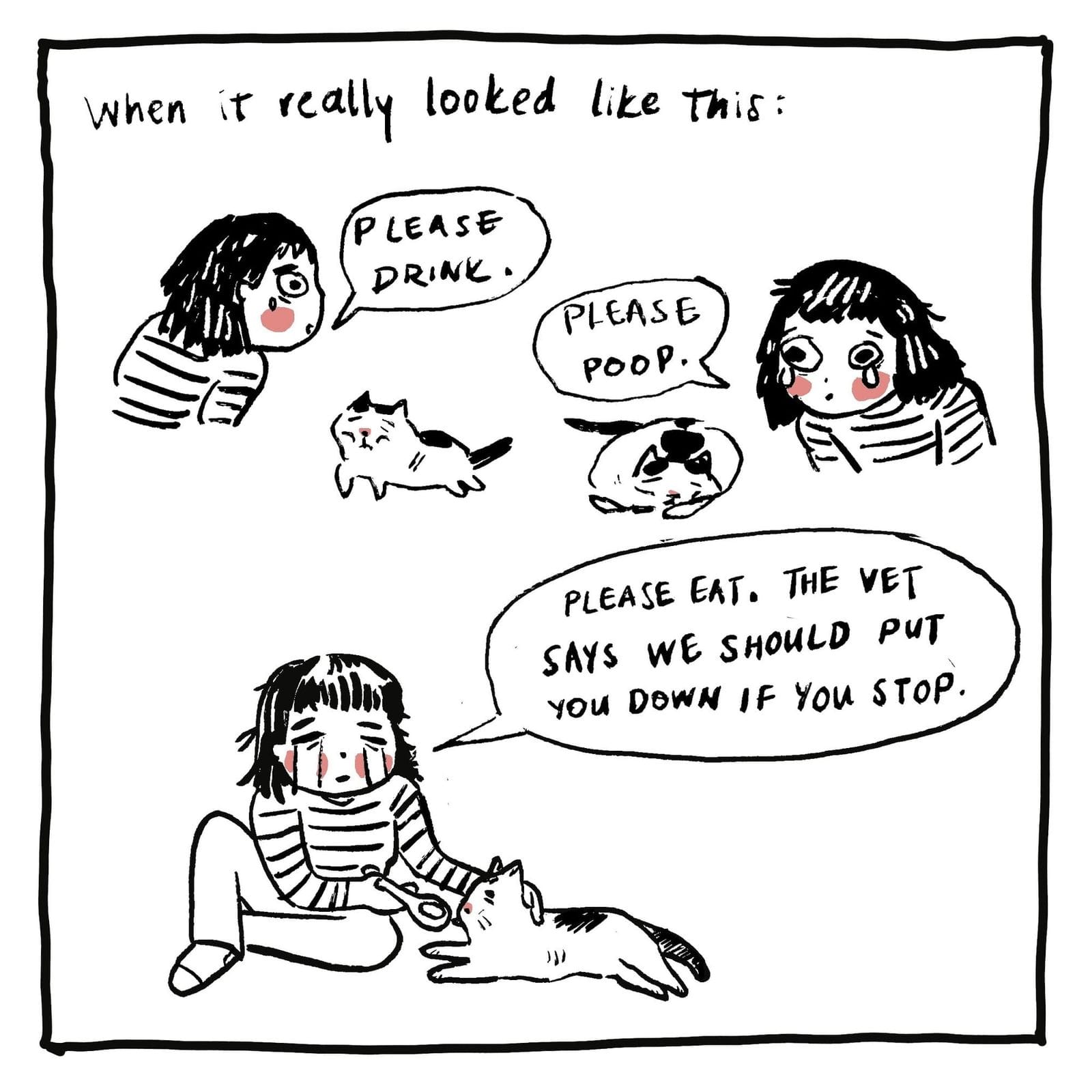 When it really looked like this: [IMAGE 1 A stricken girl begging a small sickly cat: PLEASE DRINK.] [IMAGE 2 Same girl, weeping, to sleeping cat: PLEASE POOP.] [IMAGE 3 Same girl, overcome with tears, to cat, now awake: PLEASE EAT. THE VET SAYS WE SHOULD PUT YOU DOWN IF YOU STOP.]