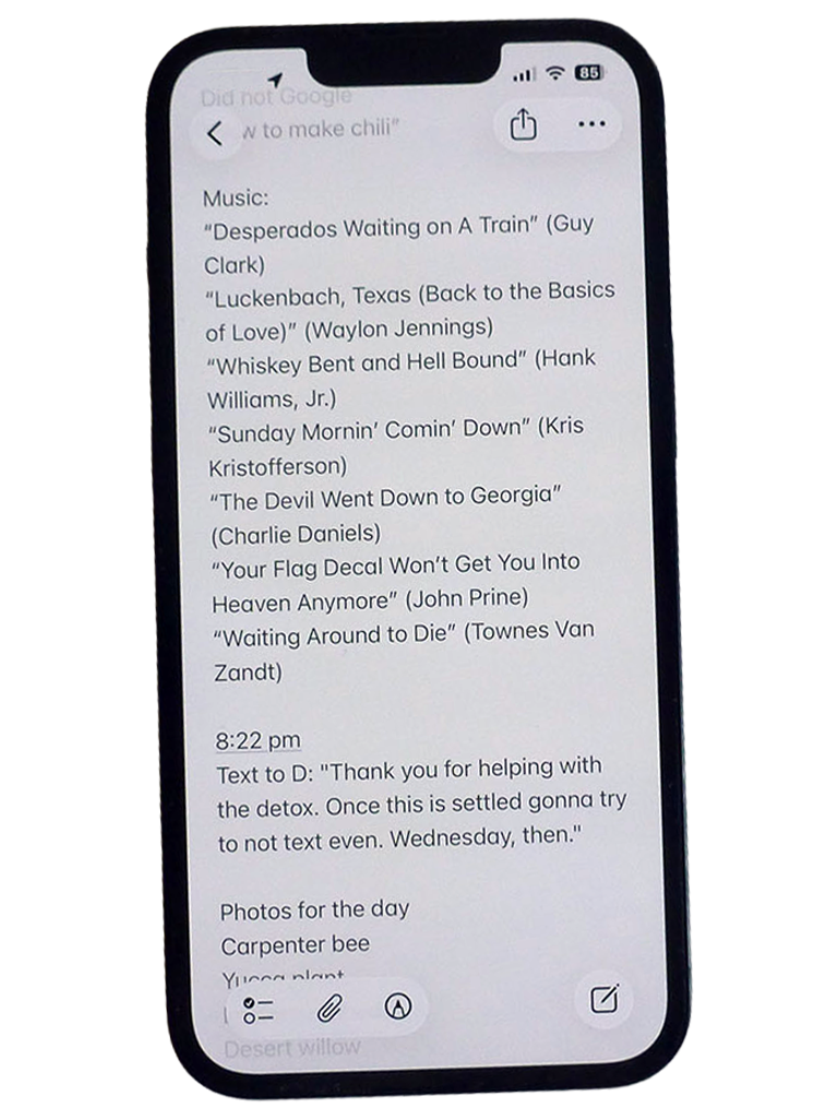 Phone showing diary (text below)