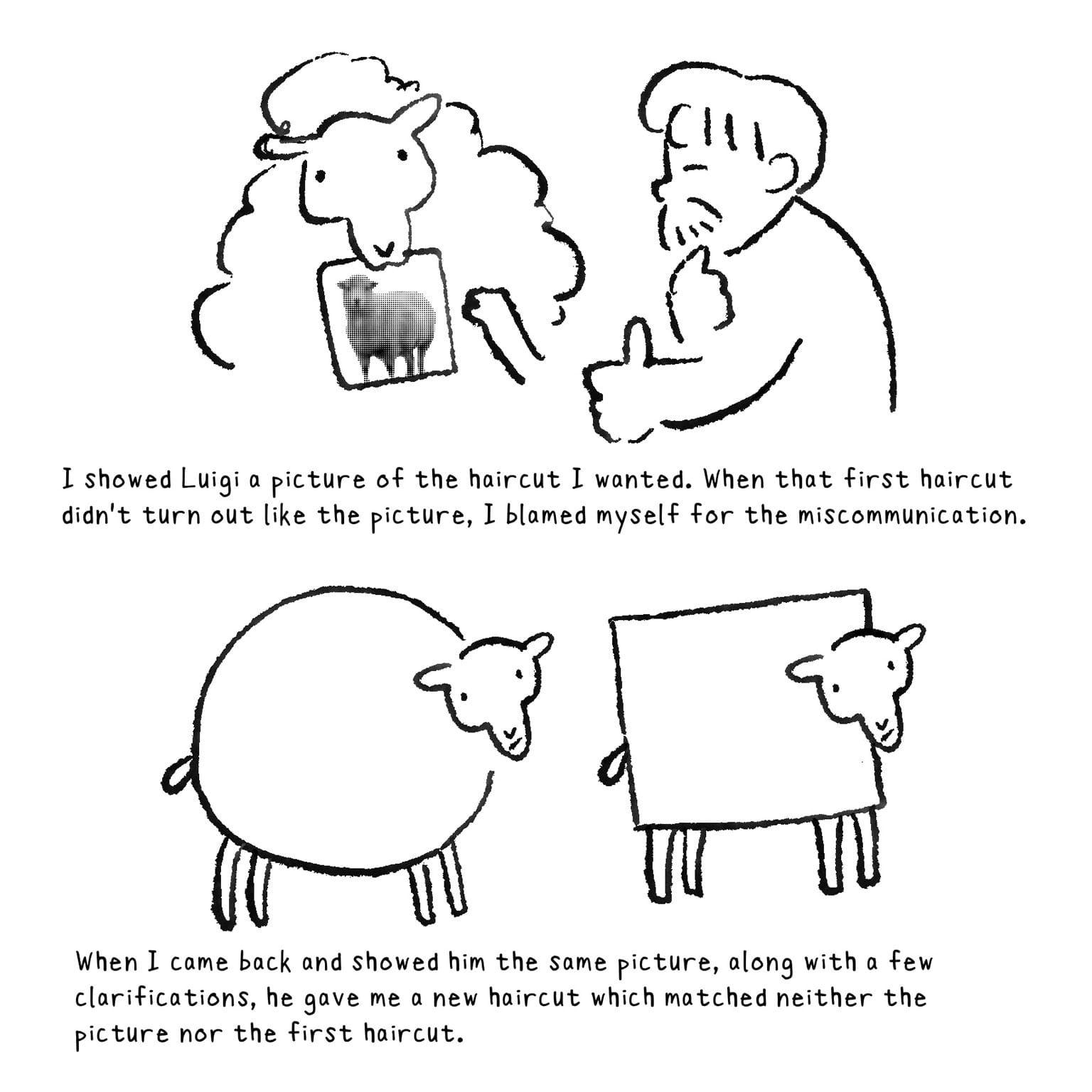 [FLUFFY SHEEP HOLDS UP A PHOTO OF A NICELY SHORN SHEEP FOR THE BARBER.] I showed Luigi a picture of the haircut I wanted. [ A VERY ROUND SHEEP AND A SQUARE SHEEP.] When that first haircut didn't turn out like the picture, I blamed myself for the miscommunication. When I came back and showed him the same picture, along with a few clarifications, he gave me a new haircut which matched neither the picture nor the first haircut.