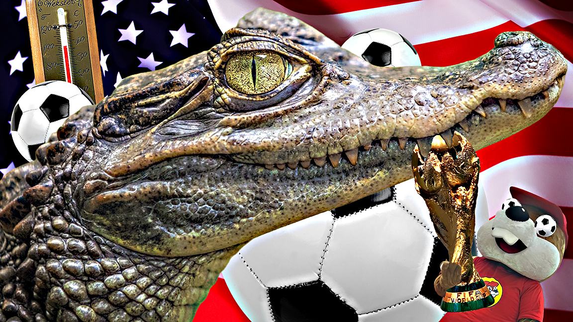 Welcome to the U.S.A.