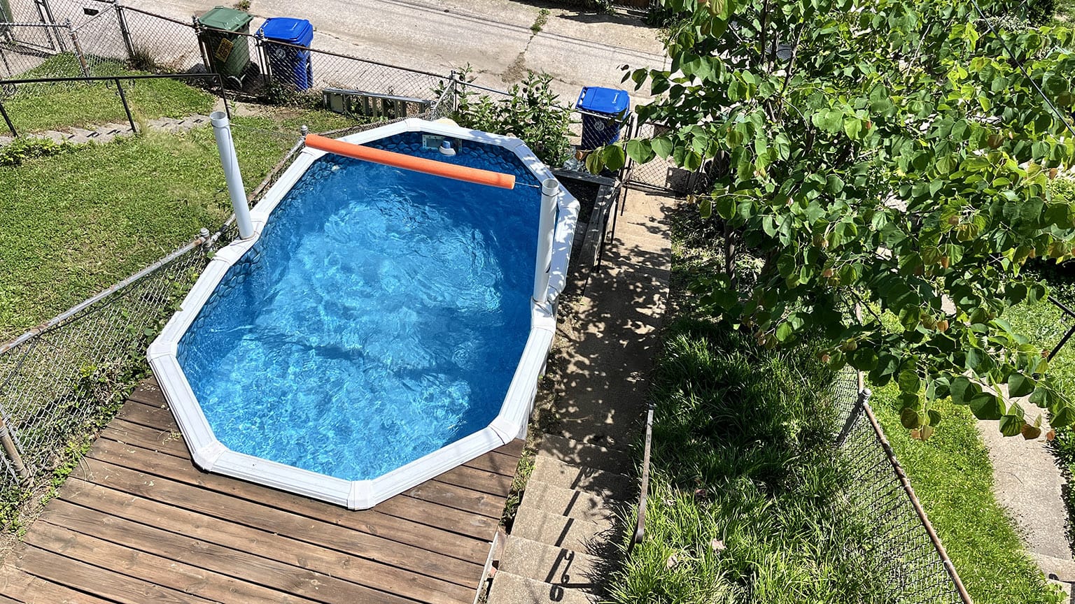 Tiny-ass pool in my 20' wide back yard