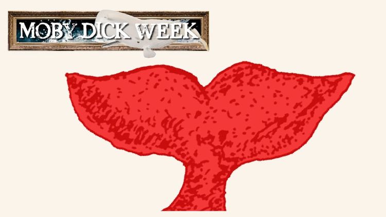 A Heart as Big as a Whale