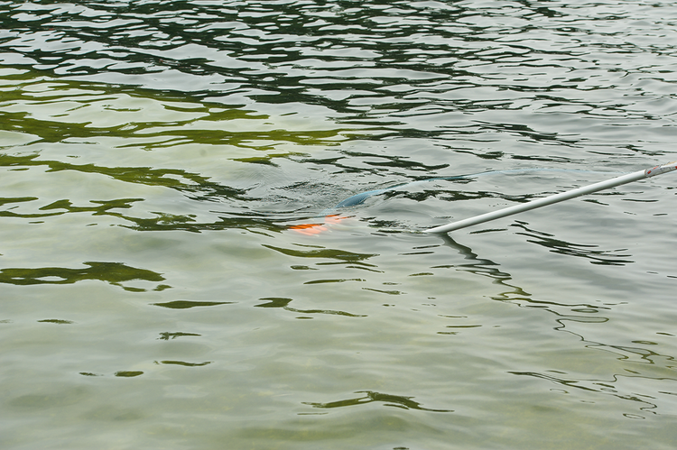 Through a Pool Darkly
