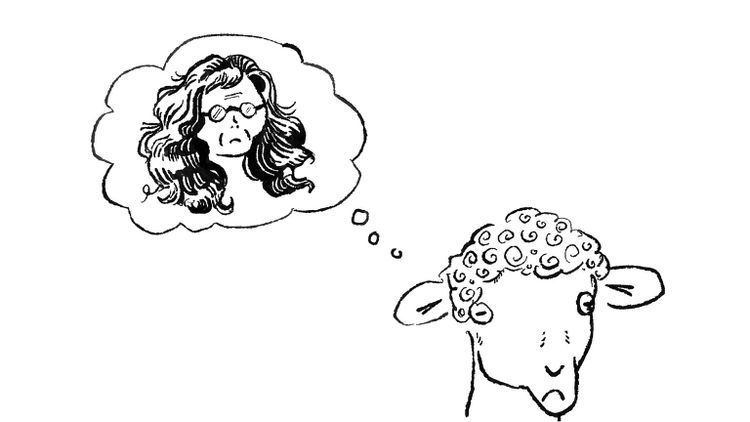 Baa-aahd Haircuts