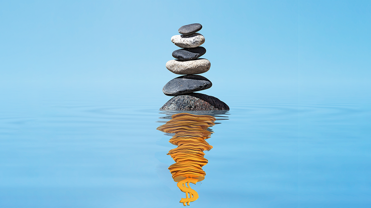 Meditating on the Wellness Grift