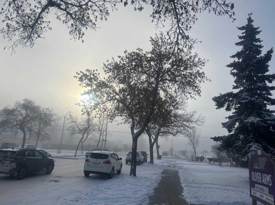 A snowy residential street: bare and snow-laden trees, parked cars, a shoveled gray sidewalk, and frost in the very air