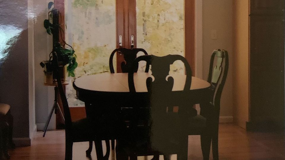 Printed photo of a small dining room, with table with four chairs, a sunlit garden behind French doors, a philodendron