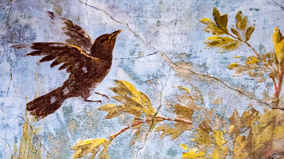 Detail of a Pompeiian wall painting, 20-30 B.C.E., depicts a bird on the wing amid golden leaves