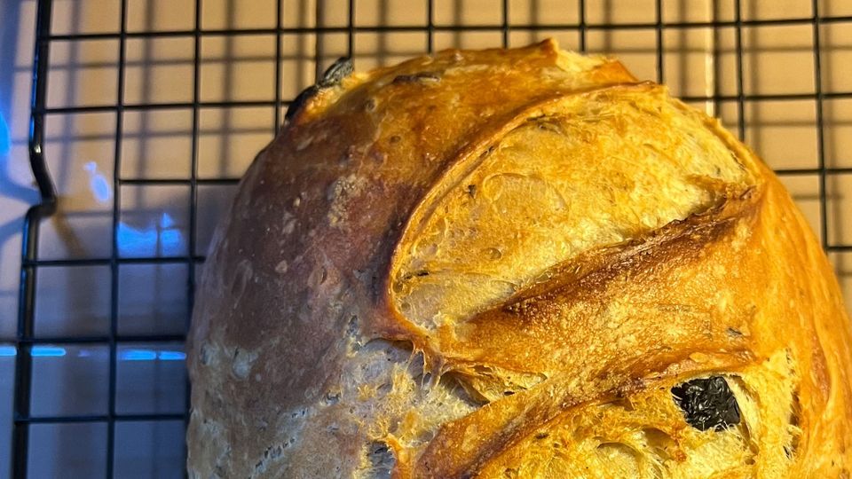 A crisp beautiful golden loaf of bread cooling on a rack, it has olives in? or possibly raisins