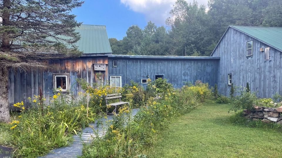 Blue sky and pale clouds above a green lawn and wildflowers, leading to The BirchBark Bookshop