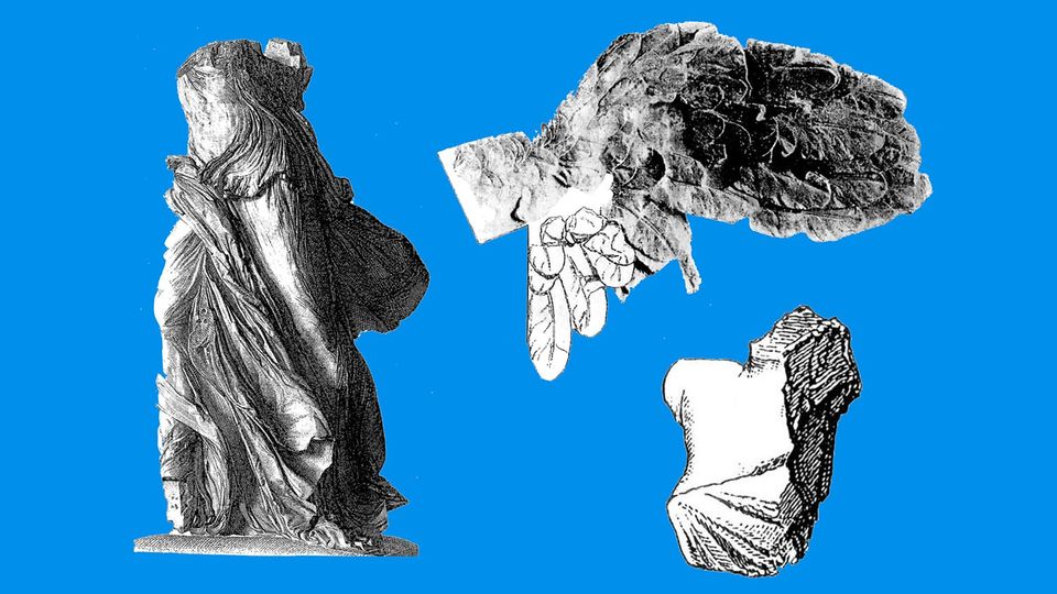 Image taken from illustration of fragments – the right part of the bust and a large part of the left wing.