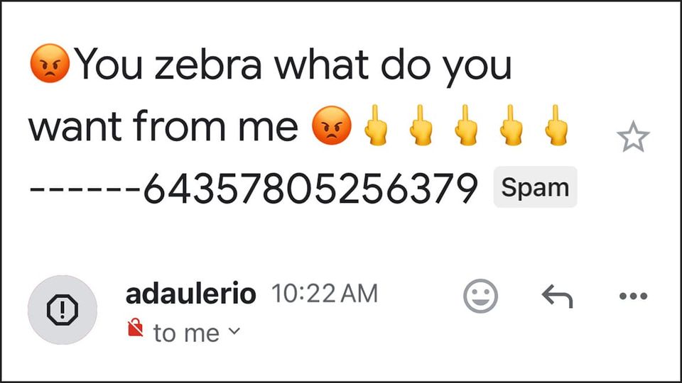 [Angry Face emoji] You zebra what do you want from me [Angry Face emoji, five Middle Finger emoji] 