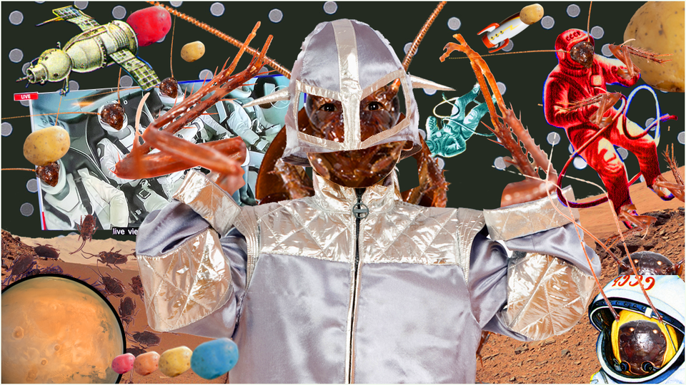 Cockroaches in space and on Mars with potato spaceships