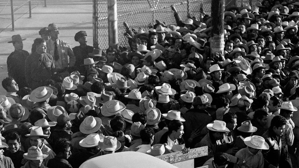 Mexican farm labors awaiting work, Mexicali,1954