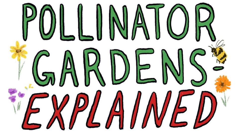 Colorful title card planted with purple, red, yellow and orange flowers and three bees flying around in there: POLLINATOR GARDENS: EXPLAINED
