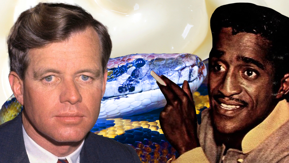 Bobby Kennedy, Sammy Davis, Jr. holding a cigarette, a huge blue and pink snake, and mayonnaise