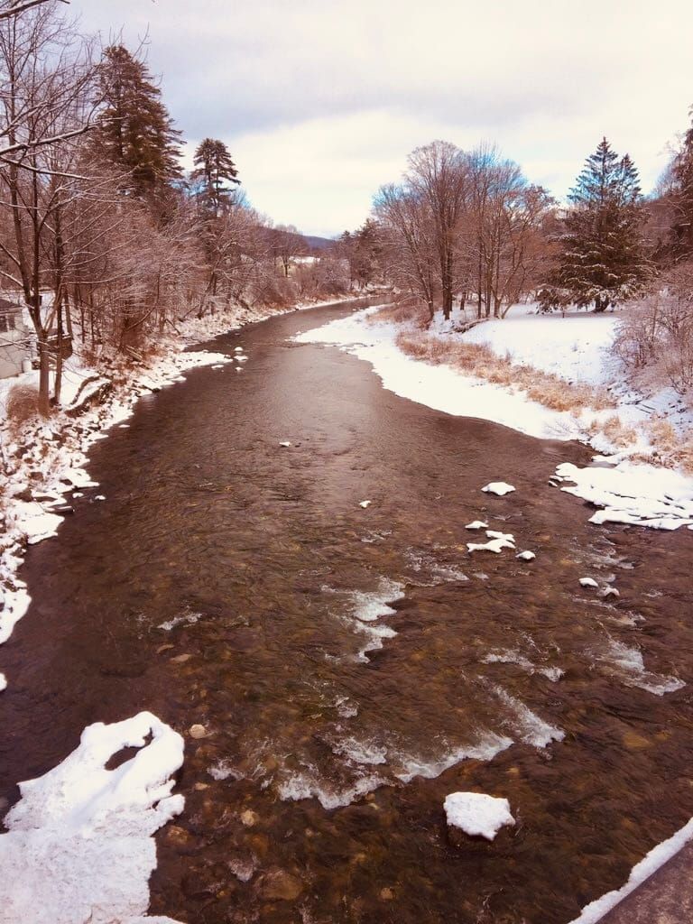 A river in winter, ice on the banks and in the bare trees under a pale frosty sky