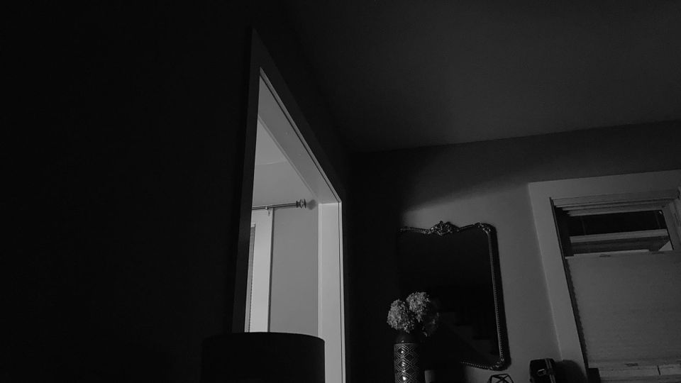Thin cool light coming through a doorway in a darkened room; a dark mirror and a vase of shadowy flowers barely visible