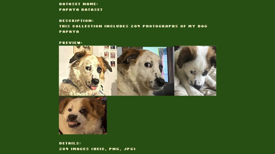 Four extremely cute photos of the dog Papaya at different ages, mugging shamelessly. Text: Dataset Name: Papaya Dataset Description: This collection includes 204 photographs of my dog Papaya 