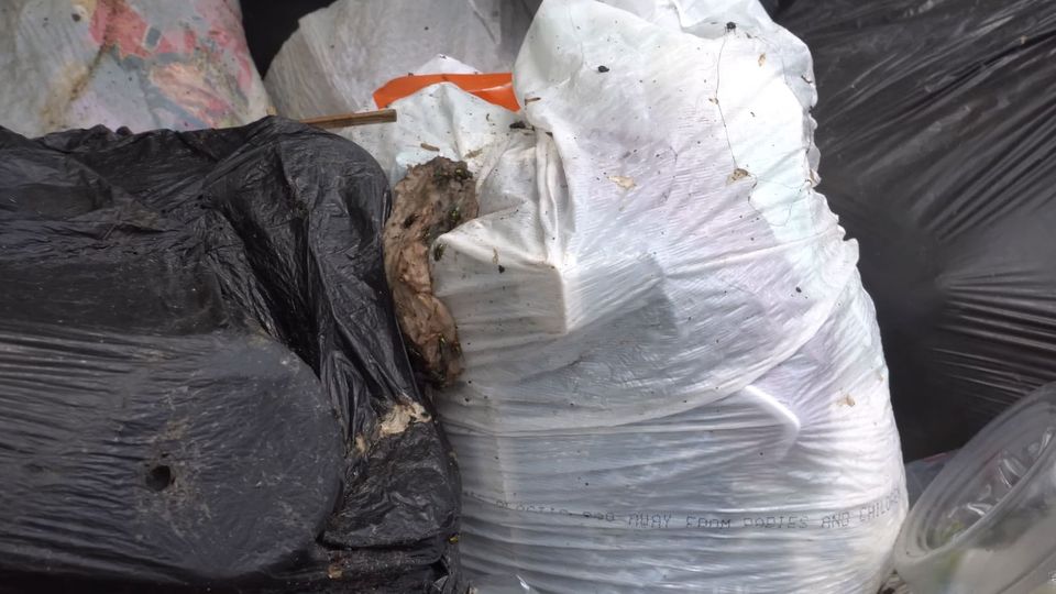 Plastic bags filled with moldering trash, flies crawling around on there