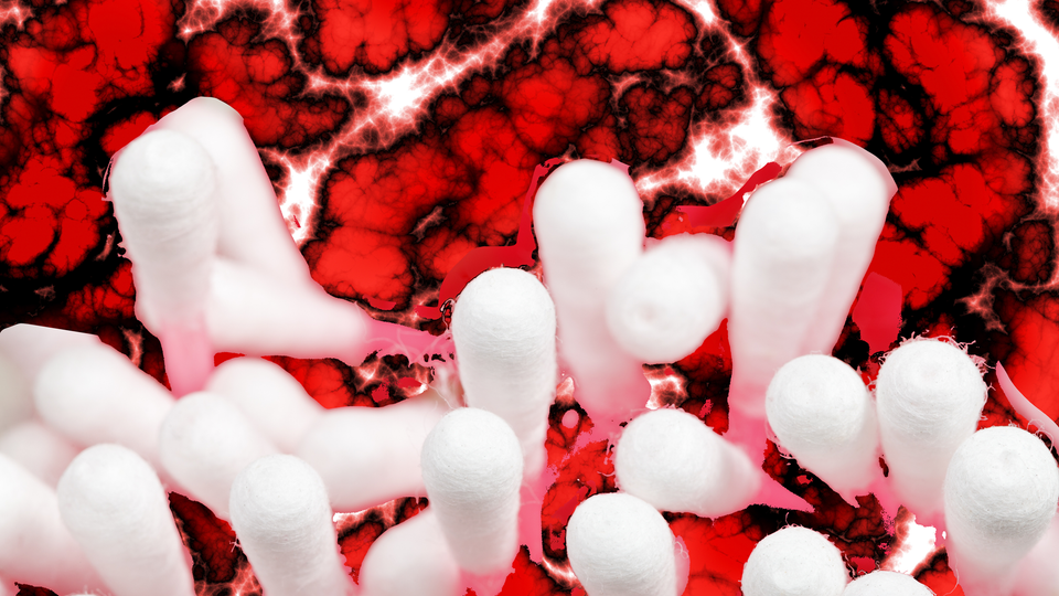 Gloopy red bacteria closeup behind a chaotic bunch of cotton swabs
