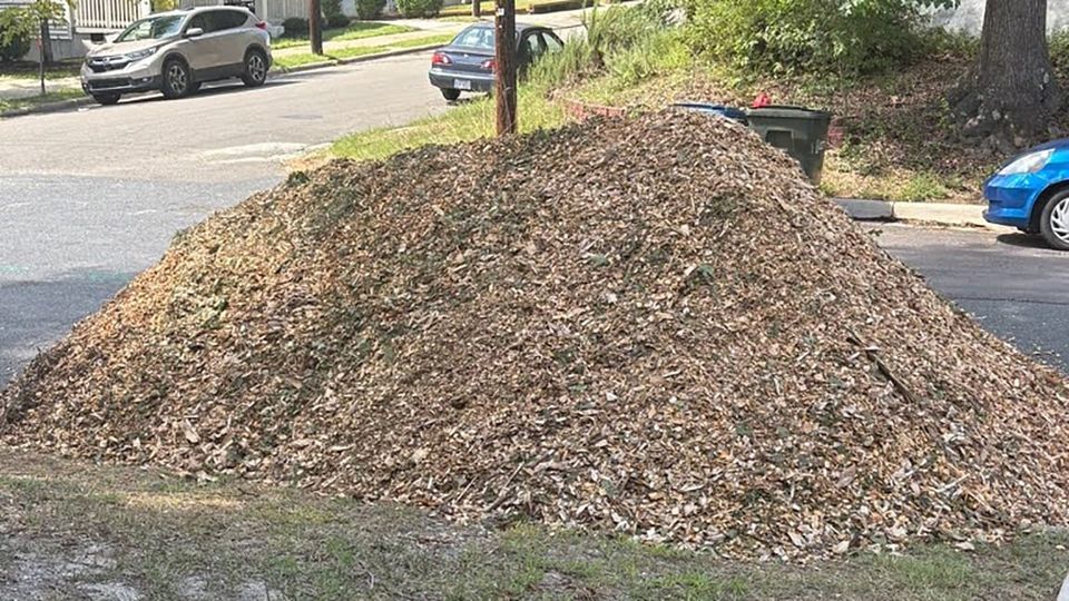 A gigantic pile of mulch on a residential street