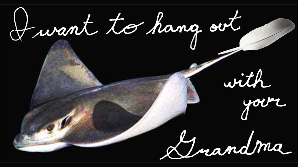 ALT Bat ray with feather quill pen for a tail swimming in inky blackness. In white cursive, I WANT TO HANG OUT WITH YOUR GRANDMA is written in the background 