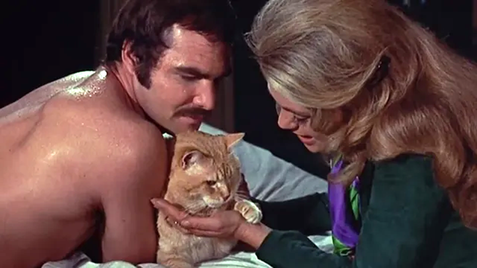 Burt is shirtless and glistening with moisture. Morris is holding their paw (claws retracted) on top of Dyan's hand