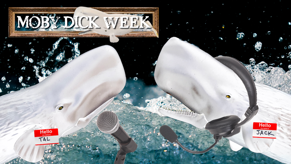 White whales and microphones talking in a boiling sea